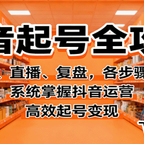 抖音起号全攻略，投流、直播、复盘，各步骤实操，系统掌握抖音运营，高效起