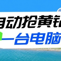 全自动抢黄钻挂机项目：自动薅福利，告别手动蹲守！一台电脑日收益500+