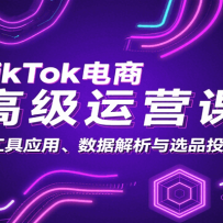 TikTok电商高级运营课：AI工具应用、数据解析与选品投流攻略
