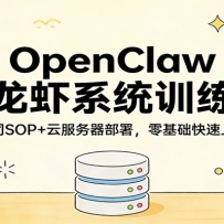 OpenClaw小龙虾系统训练营：一人公司SOP，云服务器部署，零基础快速上手实