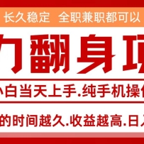零成本信息差赚钱，小白轻松上手，年前翻项目，8天赚1.6w