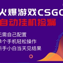 火爆游戏CSGO全自动捡漏，独家最新玩法，单个手机可操作，新手小白日入500+