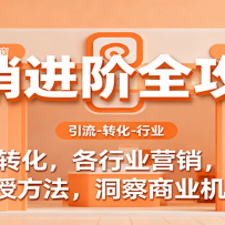 营销进阶全攻略，引流、转化，各行业营销，析案例，授方法，洞察商业机会