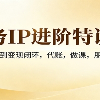 财务IP进阶特训营：从IP搭建到变现闭环，代账，做课，朋友圈运营