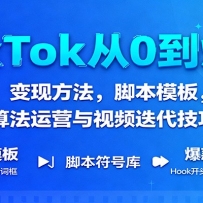 TikTok从0到爆单：变现方法，脚本模板，算法运营与视频迭代技巧