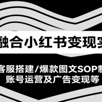 AI融合小红书变现实战课，AI客服搭建/爆款图文SOP制作/账号运营及广告变现