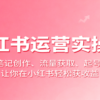小红书运营实操课：选品、笔记创作、流量获取、起号变现等，让你在小红书轻