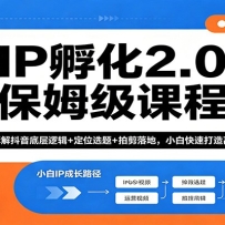 IP孵化2.0保姆级课程：拆解抖音底层逻辑+定位选题+拍剪落地，小白快速打造