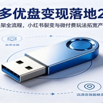 多多优盘变现落地2.0：选品上架全流程，小红书裂变与微付费玩法拓宽产品销