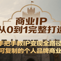 商业IP从0到1完整打造，手把手教IP变现全路径，打造可复制的个人品牌商业模