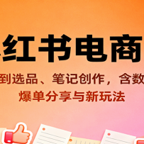 小红书电商课：从开店到选品、笔记创作，含数据分析，爆单分享与新玩法