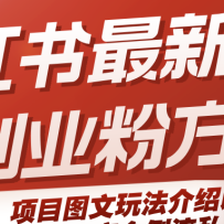 小红书最新引流创业粉方式，项目图文玩法介绍以及如何安全倒流私域
