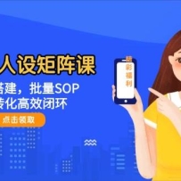 宝妈IP人设矩阵课：ABC号搭建，批量SOP，私域转化高效闭环