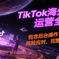 TikTok海外小店运营全流程，包含后台操作、营销推广、风险应对，完整的知识