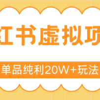 小红书虚拟电商新玩法，实现单品纯利20W+，可矩阵放大操作！