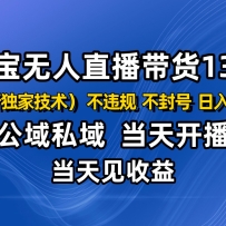 淘宝无人直播13.0，公域私域技术，不封号，不违规 布局下半年旺季赛道，日