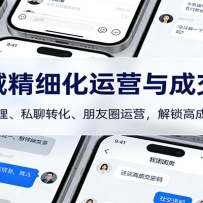 私域精细化运营与成交课：社群管理、私聊转化、朋友圈运营，解锁高成交密码