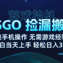 9月最新游戏搬砖，CSGO纯挂机，不需要玩游戏，实现真挂机，月入1W+