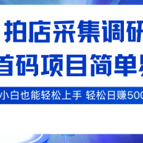 拍店采集调研，全网首码项目，简单易操作， 小白也能轻松上手，轻松日赚500