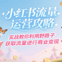 小红书流量运营攻略，实战教你利用野路子获取流量进行商业变现