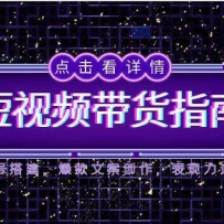2025短视频带货指南，人设账号搭建，爆款文案创作，表现力速成训练