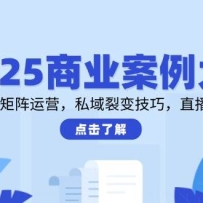 2025商业案例大全，短视频矩阵运营，私域裂变技巧，直播带货策略