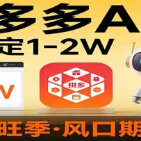 开一家拼多多AI店，月稳定1-2W，目前旺季，风口期！