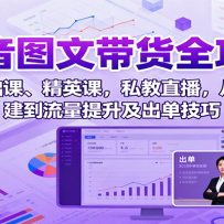 抖音图文带货全攻略：含基础课、精英课，私教直播，从账号搭建到流量提升及