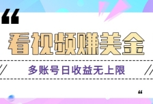 看视频赚美金项目，手机可挂机操作，多账号日收益无上限