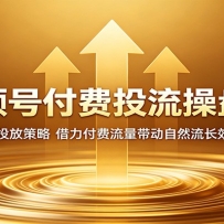 视频号付费投流操盘课：多维分析投放策略，借力付费流量带动自然流长效增长