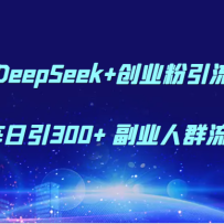 DeepSeek+创业粉引流 AI矩阵日引300+ 副业人群流量密码