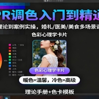 PR调色入门到精通：从色彩理论到案例实操，婚礼/医美/美食多场景调色技巧