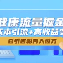 大健康流量掘金课，低成本引流+高收益变现，日引百粉月入过万