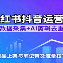 小红书抖音运营课：数据采集+AI剪辑去重，选品上架与笔记带货流量技巧