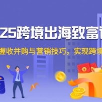 2025跨境出海致富课程，掌握收并购与营销技巧，实现跨境成功