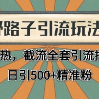 2024首发野路子引流玩法截流自热全平台打法，全自动引流【日引2000+精准客