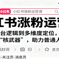 小红书涨粉运营课：从平台逻辑到多维度定位，传授挣钱 “核武器”，助力普