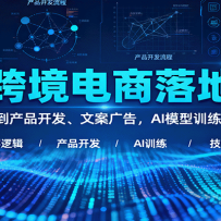 AI跨境电商落地课：从底层逻辑到产品开发、文案广告，AI模型训练与图像制作