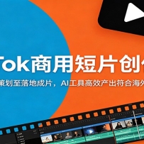 TikTok商用短片创作课：从客户需求策划至落地成片，AI工具高效产出符合海外