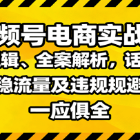 视频号电商实战课：推流逻辑、全案解析，话术框架，稳流量及违规规避等