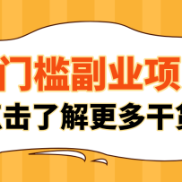 非常适合普通人的低成本副业项目，藏在身边的零门槛商机，小白也能上手月入
