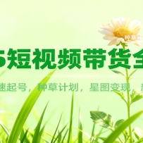 2025短视频带货全攻略：爆款文案，快速起号，种草计划，星图变现，新手零门