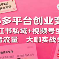 2025多平台创业变现课：小红书私域+视频号生存+抖音流量，大咖实战分享