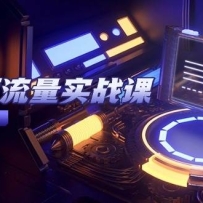 短视频流量实战课，从平台选择到内容变现，爆款公式与投放技巧
