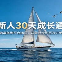 外贸新人30天成长通关课：从基础准备到平台运营，从零起步到百万订单实战