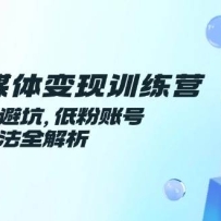 AI自媒体变现训练营，平台选择避坑，低粉账号高变现方法全解析