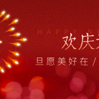 每年新年必火的红利项目，视频号祝福类视频玩法，多种变现月入万元！