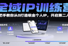 全域IP训练营，手把手教你从0打造吸金个人IP，开启第二人生！