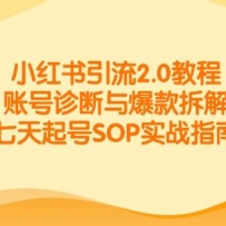 小红书引流2.0教程，账号诊断与爆款拆解，七天起号SOP实战指南