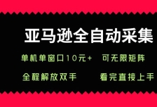 亚马逊全自动采集，单机单窗口一天10+，可无限矩阵去做